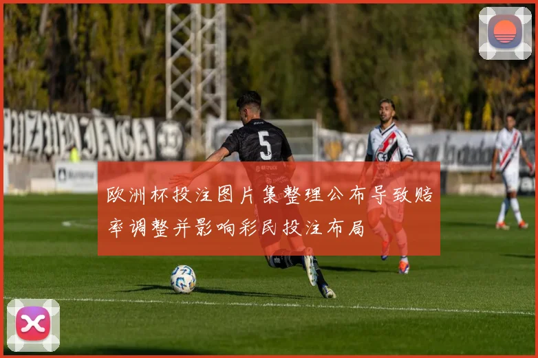 欧洲杯投注图片集整理公布导致赔率调整并影响彩民投注布局