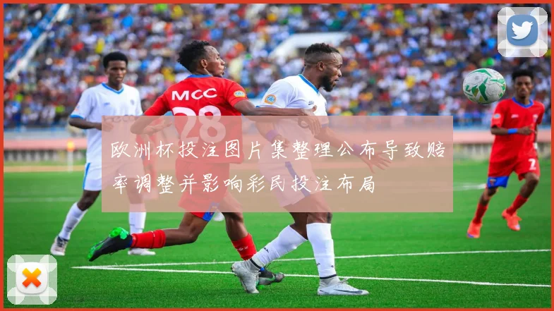 欧洲杯投注图片集整理公布导致赔率调整并影响彩民投注布局