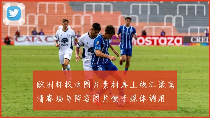 欧洲杯投注图片素材库上线汇聚高清赛场与阵容图片便于媒体调用