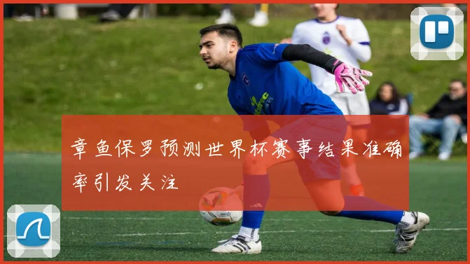 章鱼保罗预测世界杯赛事结果准确率引发关注