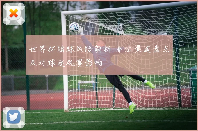 世界杯赌球风险解析 非法渠道盘点及对球迷观赛影响