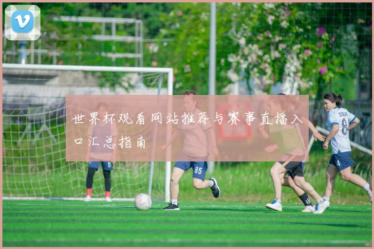 世界杯观看网站推荐与赛事直播入口汇总指南