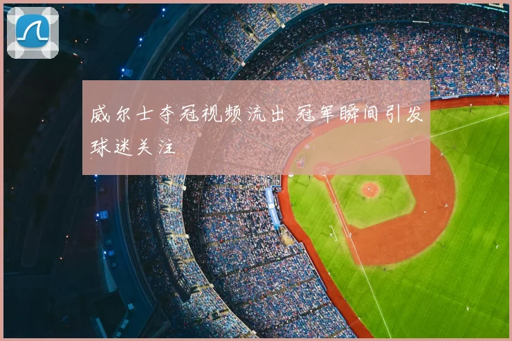威尔士夺冠视频流出 冠军瞬间引发球迷关注