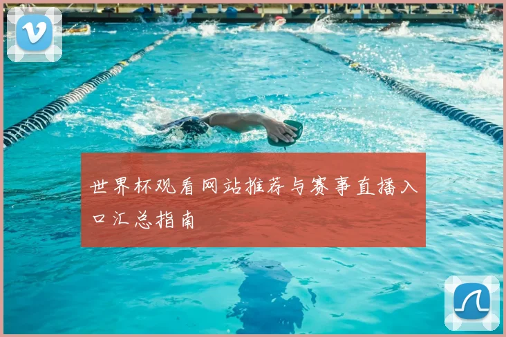 世界杯观看网站推荐与赛事直播入口汇总指南
