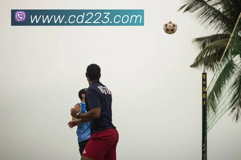 安博app登录入口网页版平台生态图